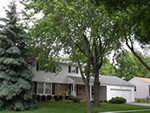 schaumburg thumb